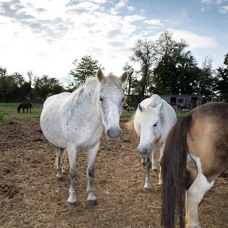 Bed & Breakfast D Hotes 3*