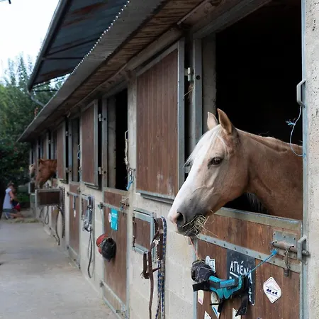 Bed & Breakfast D Hotes 3*