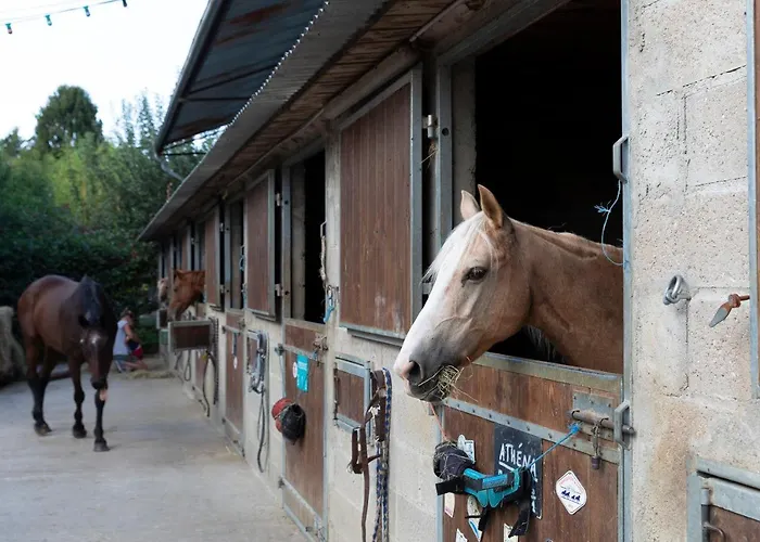 Bed & Breakfast D Hotes 3*